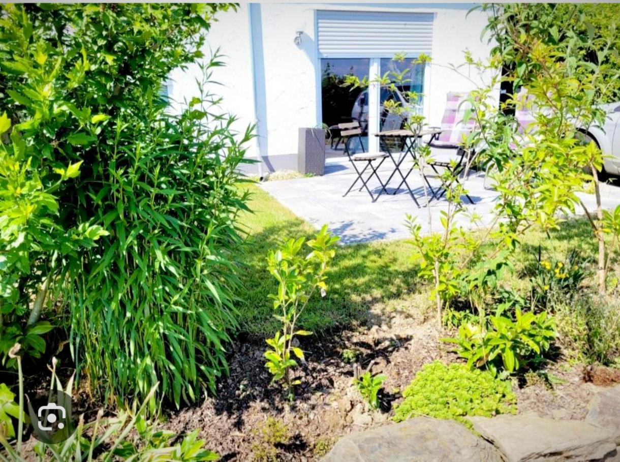 *traumschleife Marienberg* Apartment Boppard